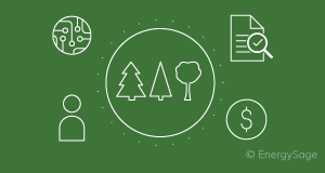 making biomass more environmentally friendly